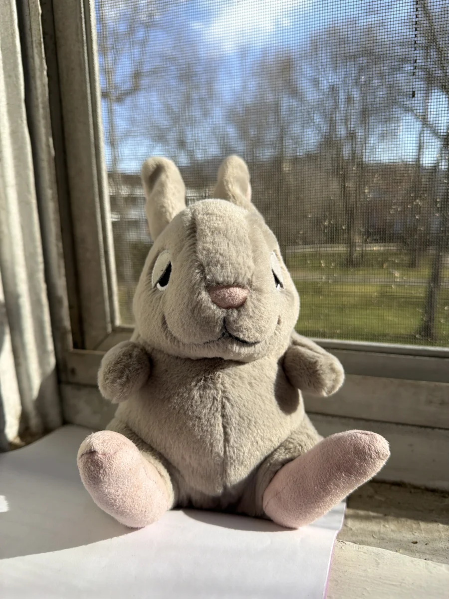 Front - Cuddlebud Bernard Bunny photo by katsjellies