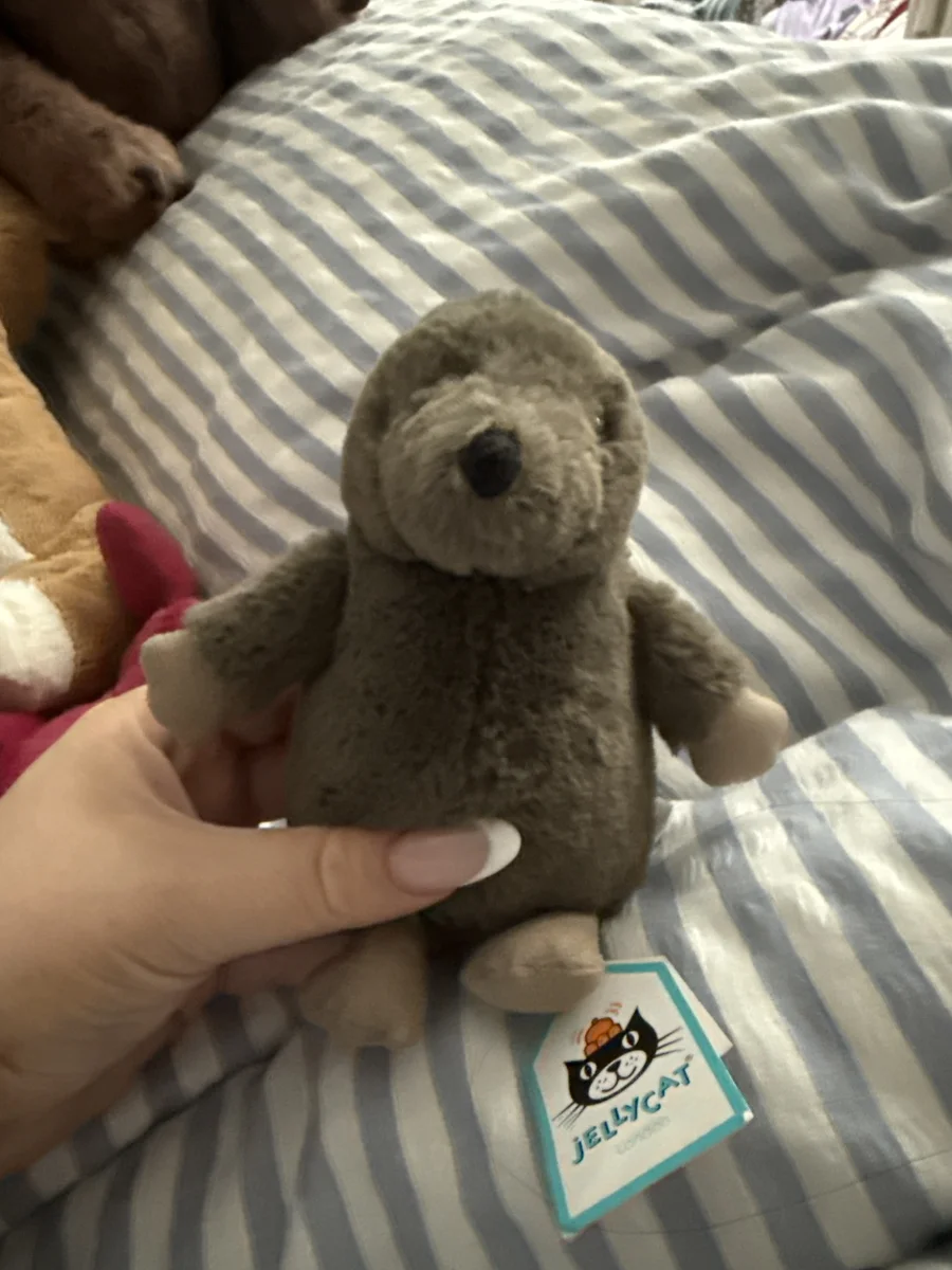 Front - Nippit Mole photo by paigev2005