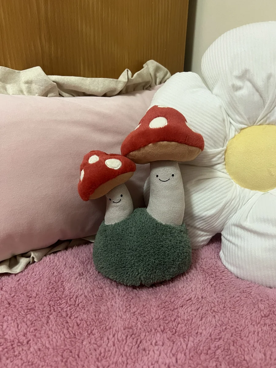 Front - Amuseables Pair of Toadstools photo by meganlayla222