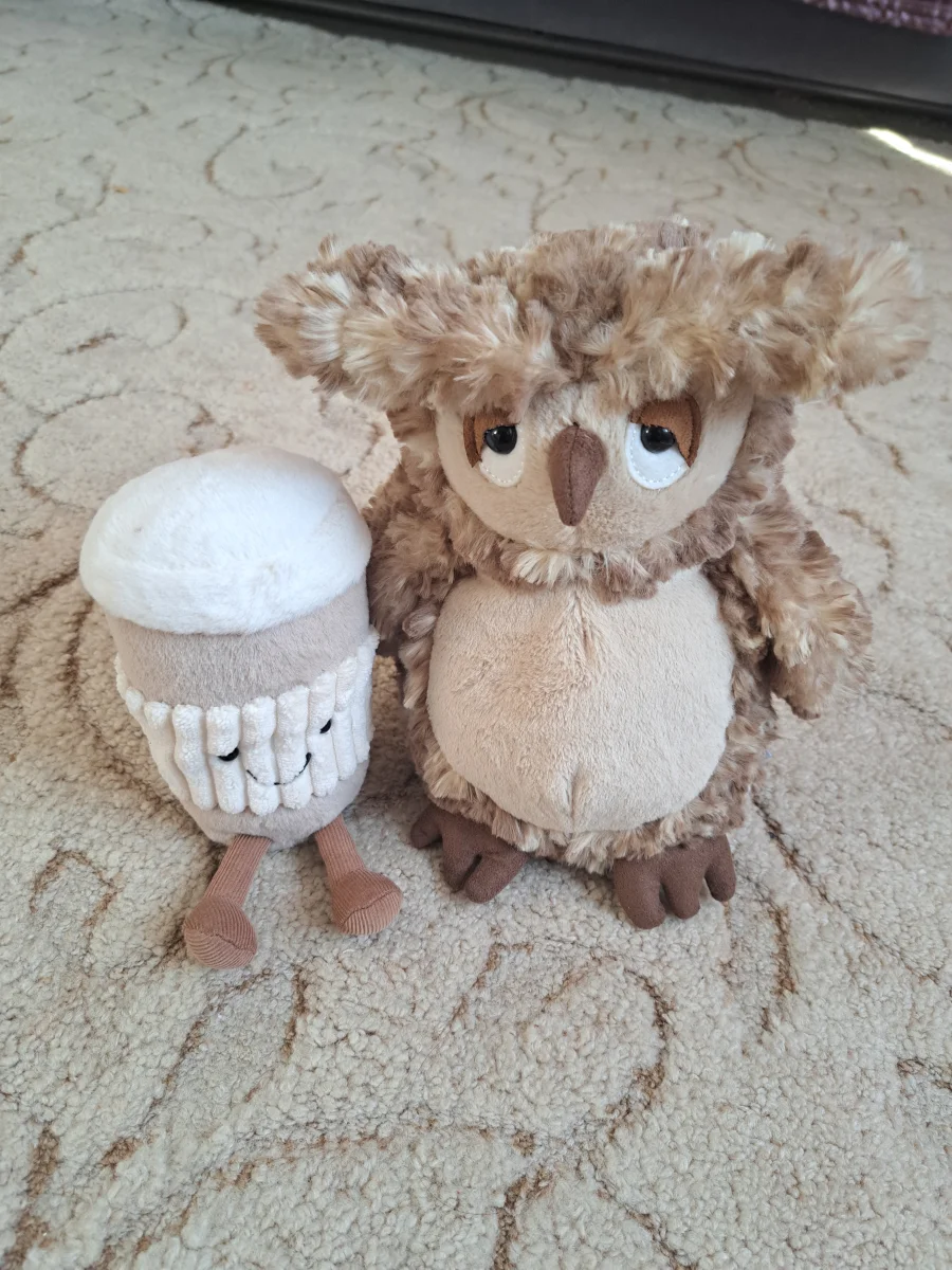 Lifestyle - Oberon Owl photo by Jellycat_Nina