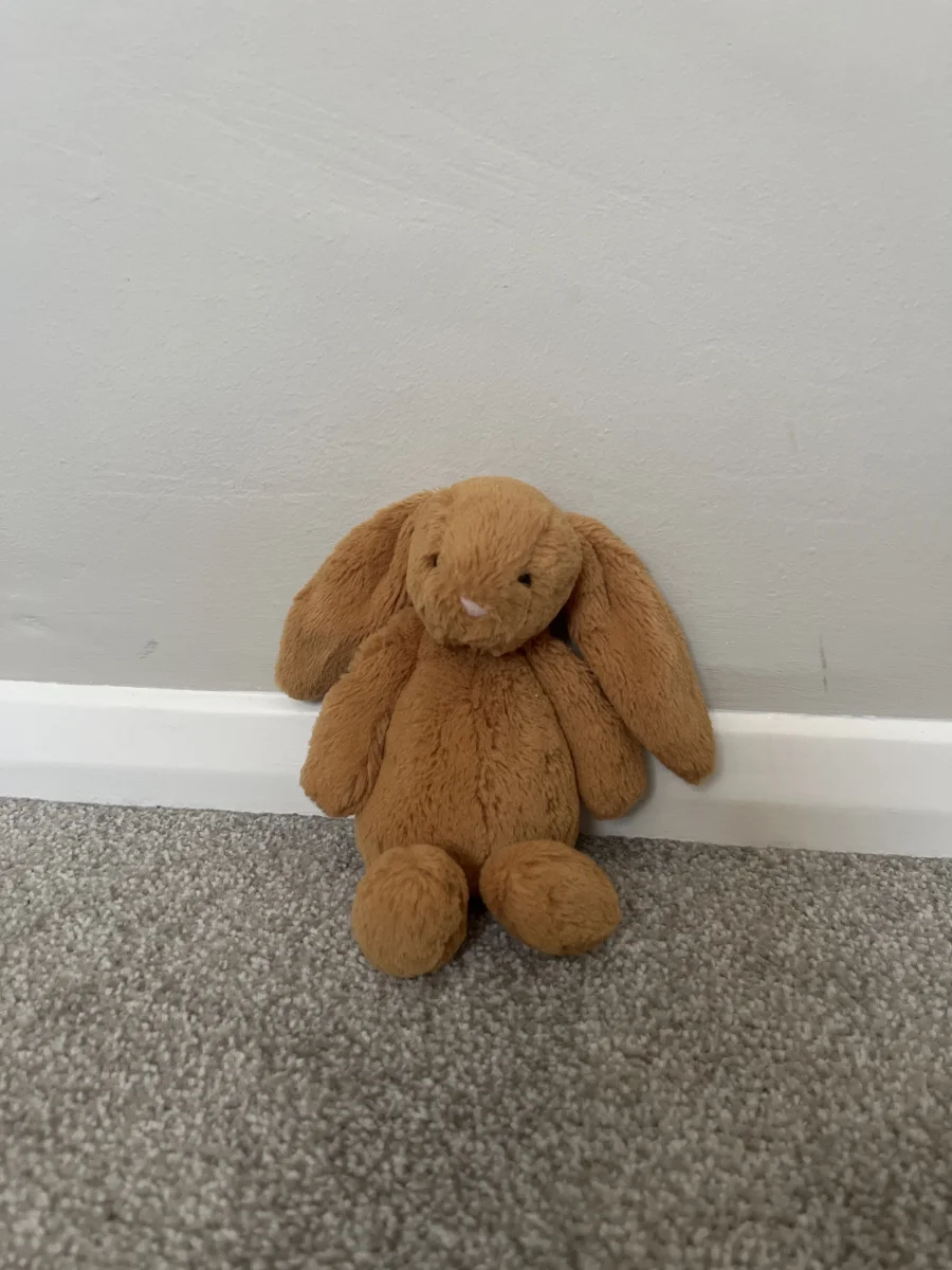 Front - Bashful Golden Bunny - Small photo by Isla’s jellycats Xx