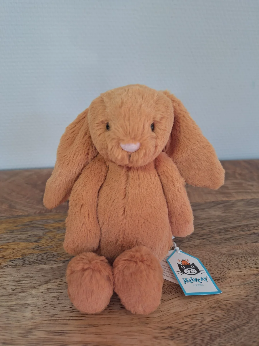 Front - Bashful Golden Bunny - Small photo by Sofie