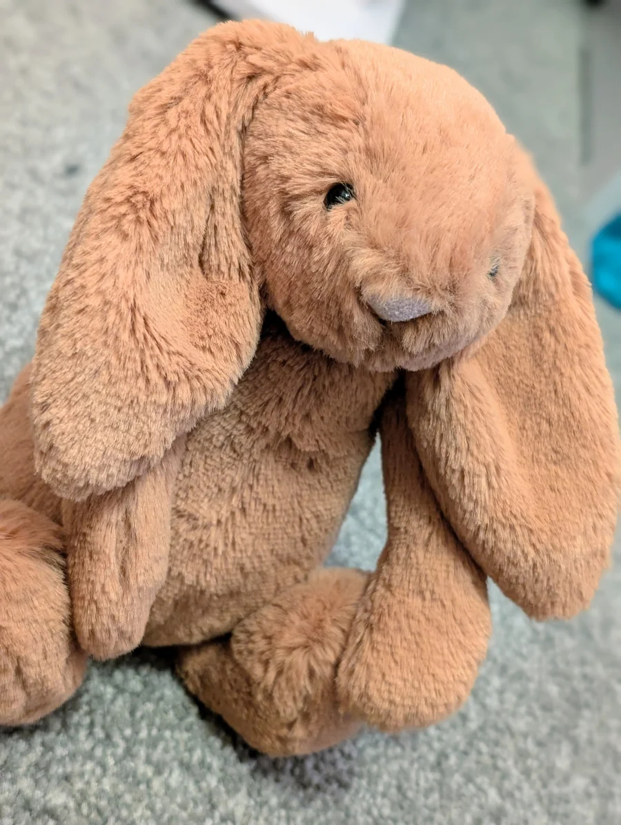 Side - Bashful Golden Bunny - Small photo by Jelly_shebear