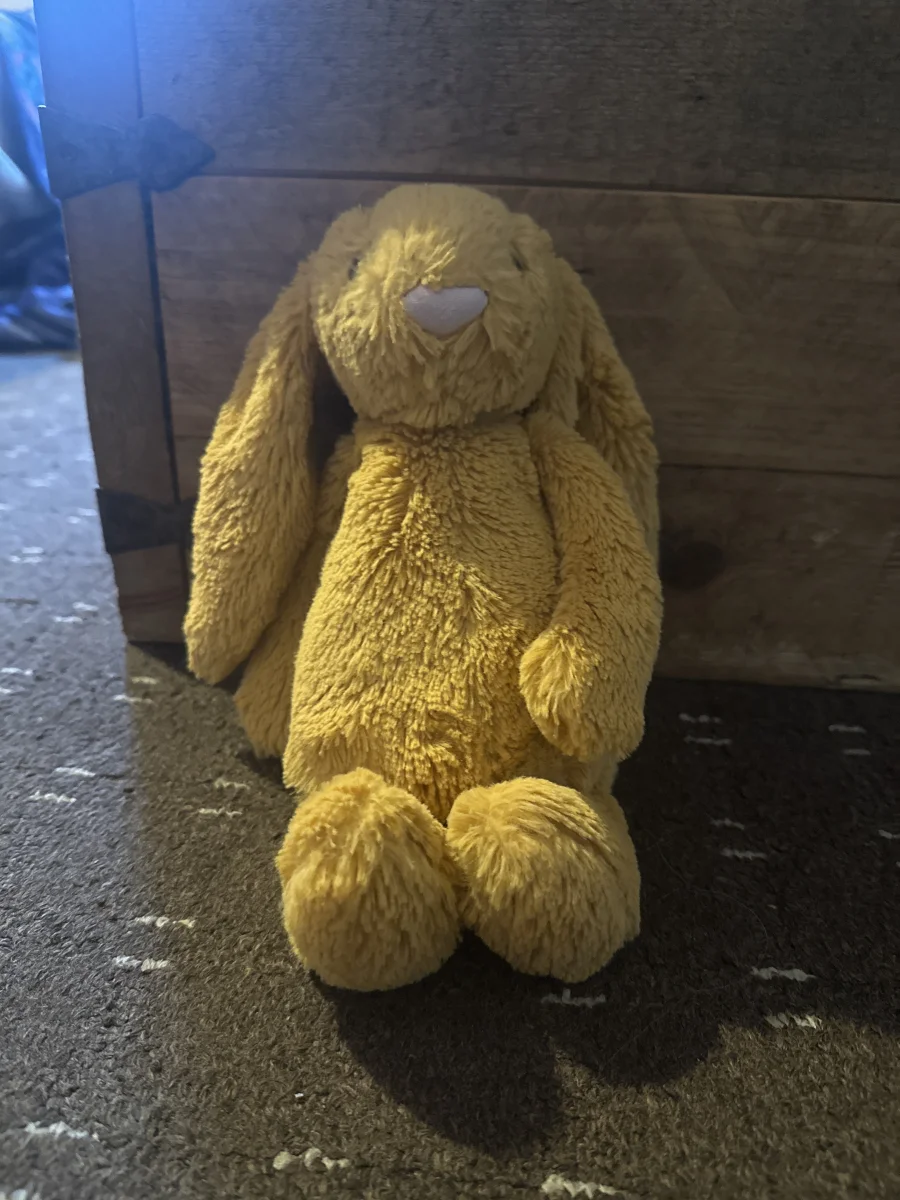 Front - Bashful Golden Bunny - Medium photo by Issylovesjellie