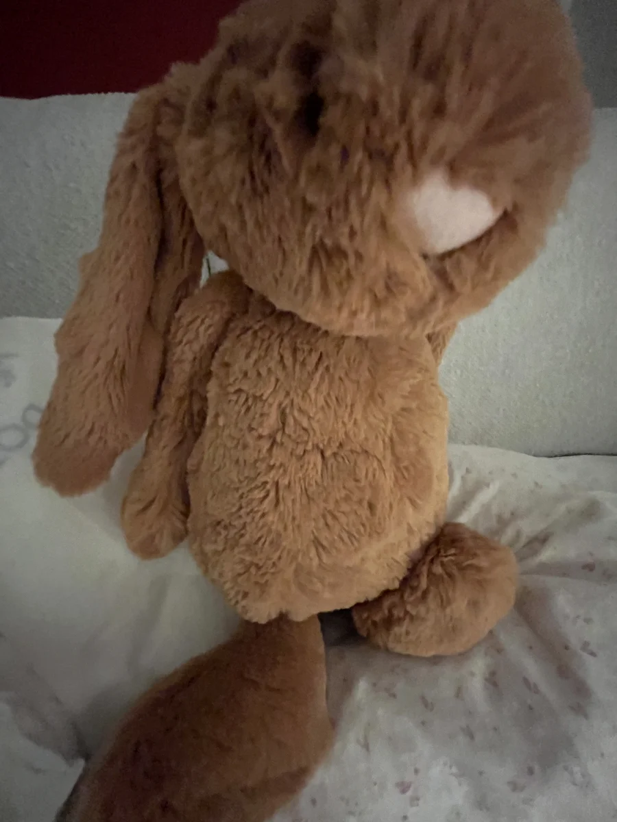 Side - Bashful Golden Bunny - Medium photo by jellypauline