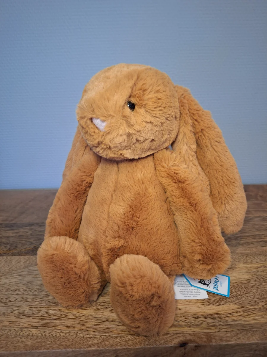 Front - Bashful Golden Bunny - Medium photo by Sofie