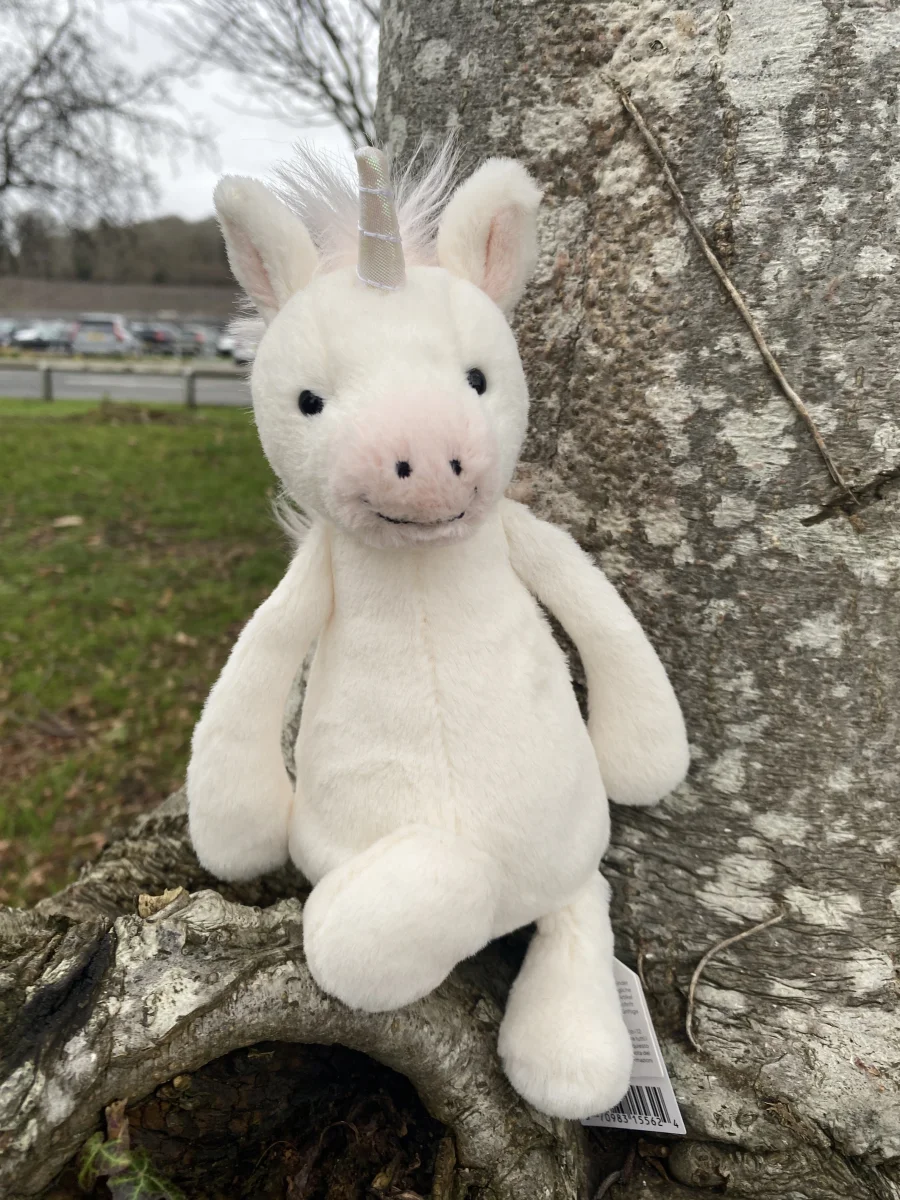 Front - Bashful Unicorn - Small photo by MollysJellycatss