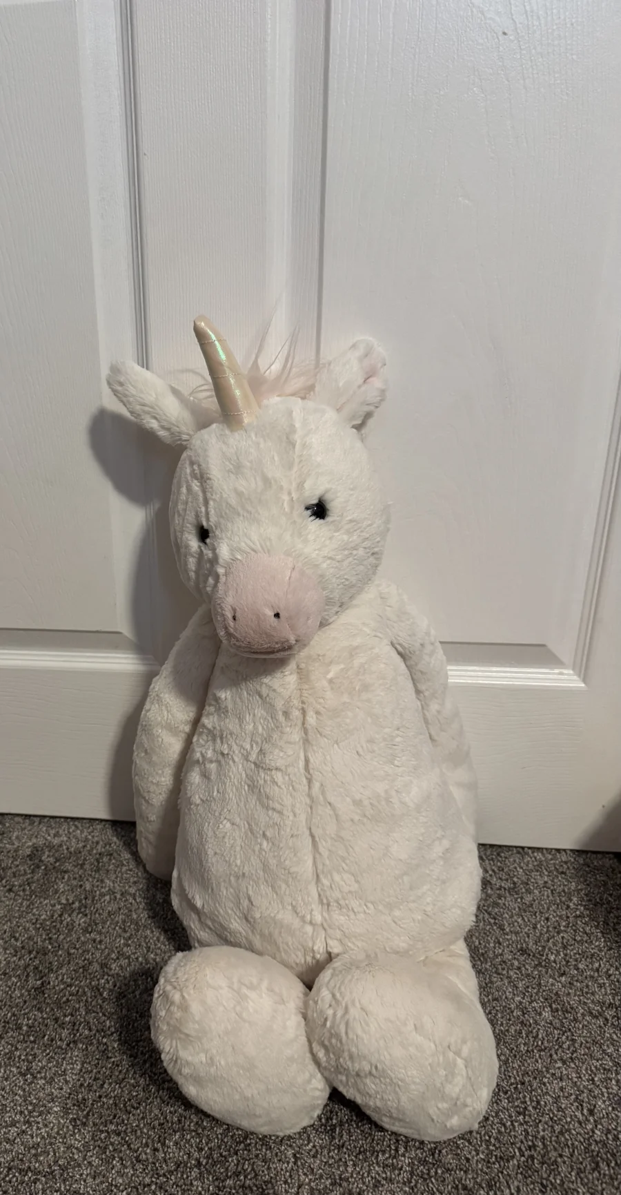 Front - Bashful Unicorn - Really Big photo by peyton12jellies