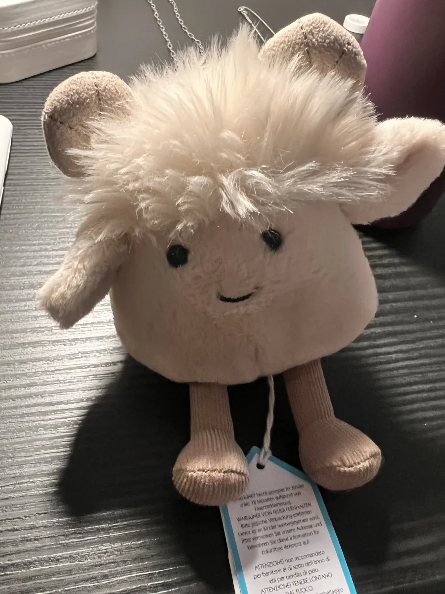 Front - Amuseabean Ram photo by Sydketels