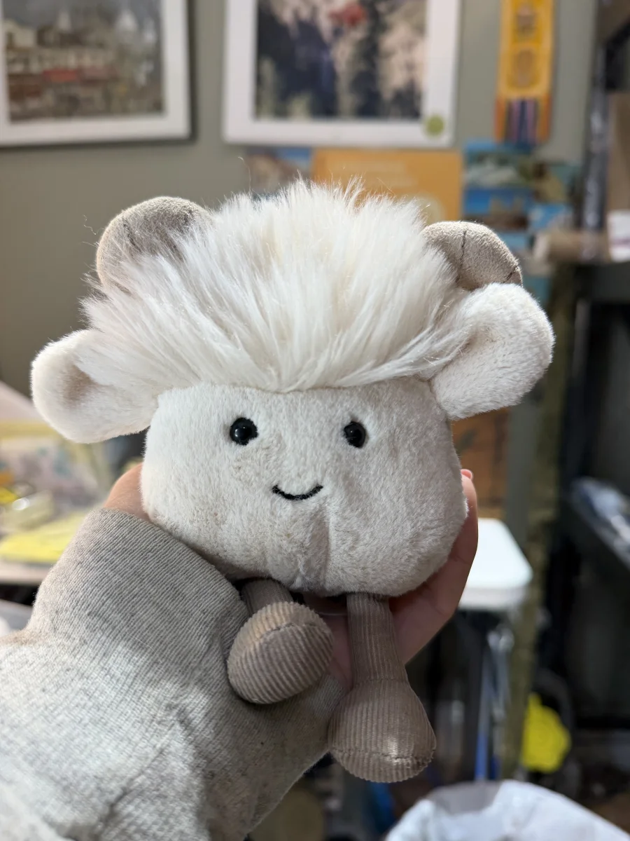 Front - Amuseabean Ram photo by amandamariejelly