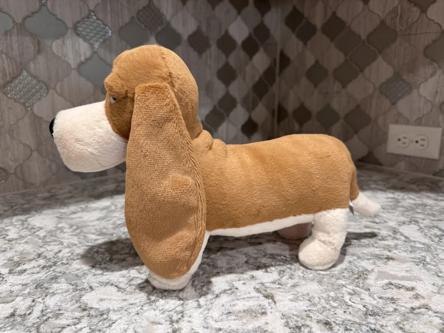 Side - Randall Basset Hound photo by SnowLeopard821