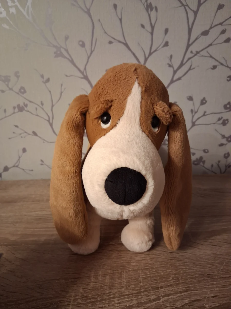 Front - Randall Basset Hound photo by Hope_Collectablez