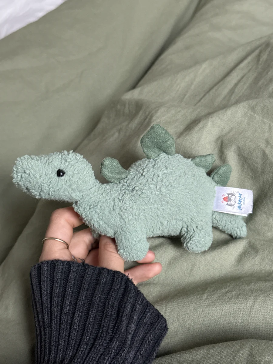Side - Fossilly Stegosaurus - Small photo by Aliciasjellys