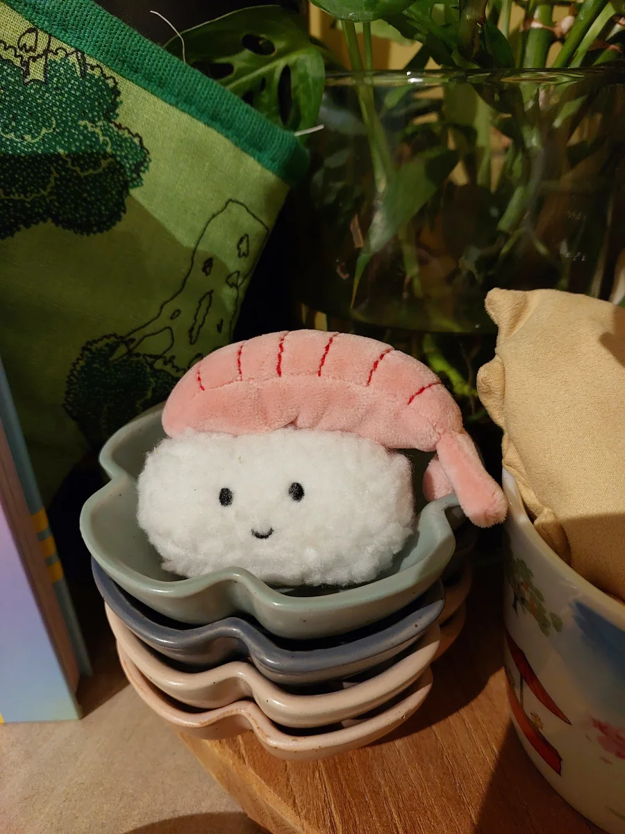 Front - Sassy Sushi Nigiri photo by beecee94