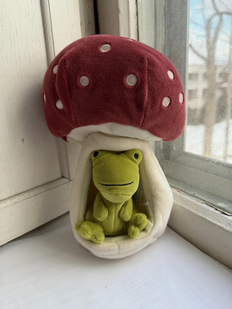 Front - Forest Fauna Frog photo by katsjellies