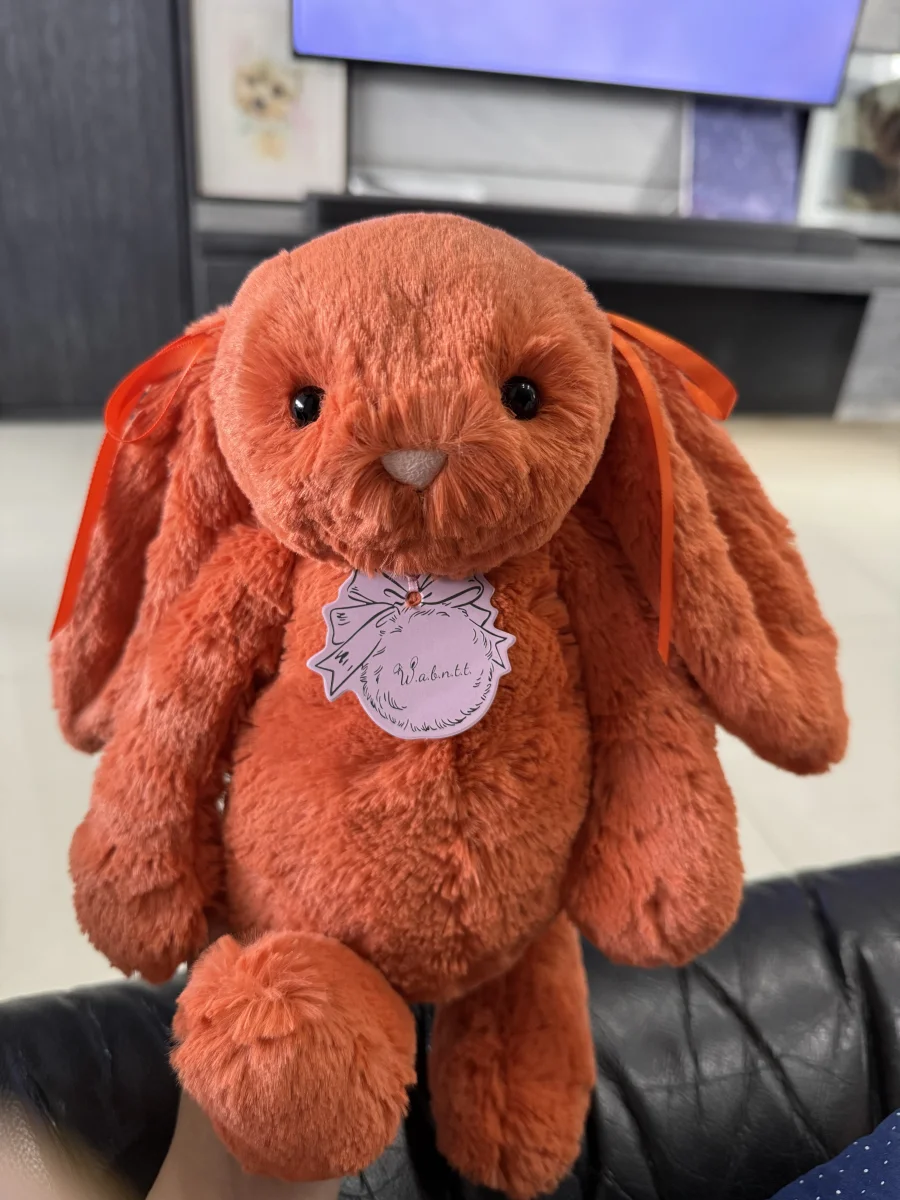 Lifestyle - Bashful Tangerine Bunny - Medium photo by ilovepooches025
