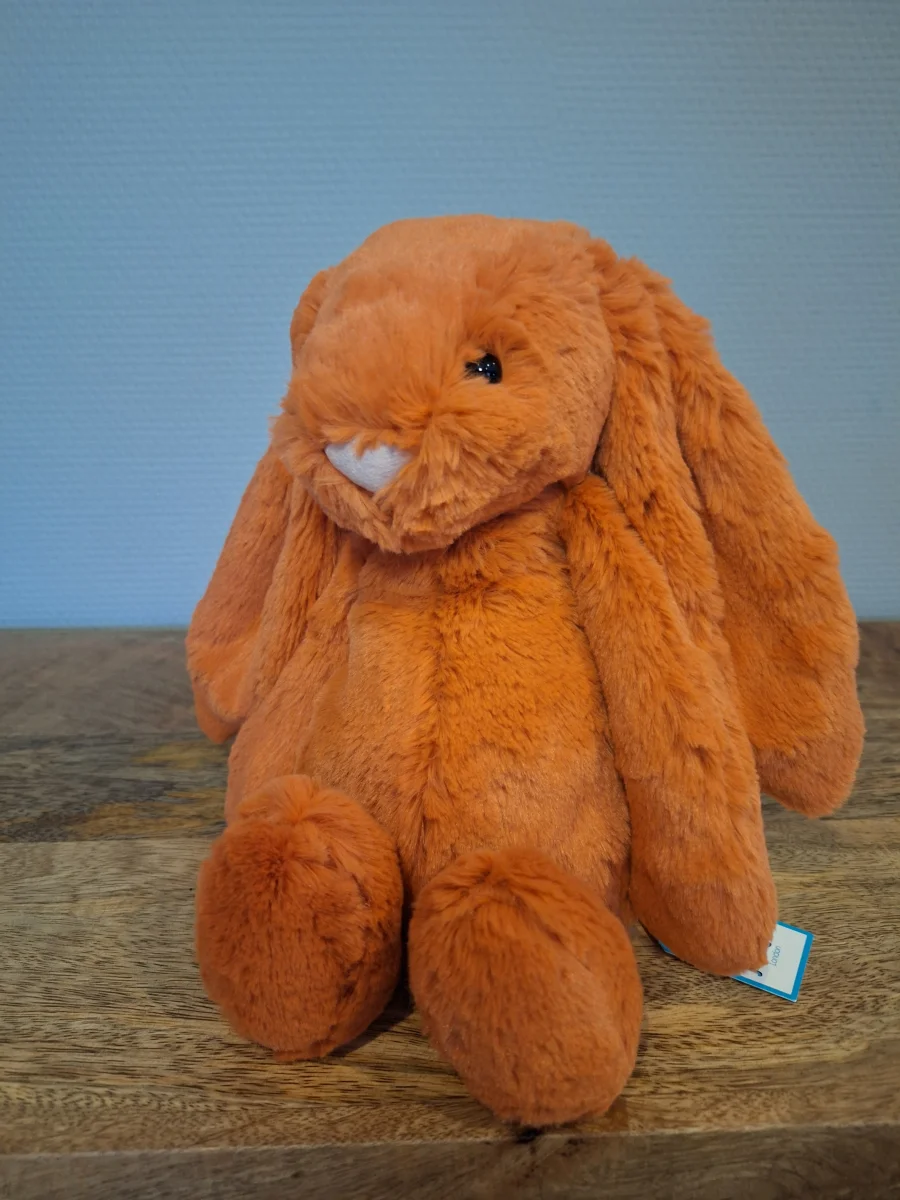Front - Bashful Tangerine Bunny - Medium photo by Sofie