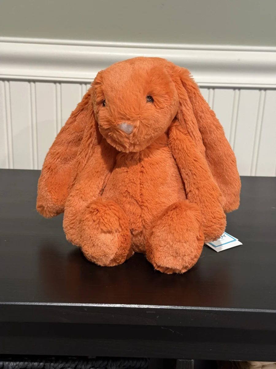 Front - Bashful Tangerine Bunny - Medium photo by Bunnylove