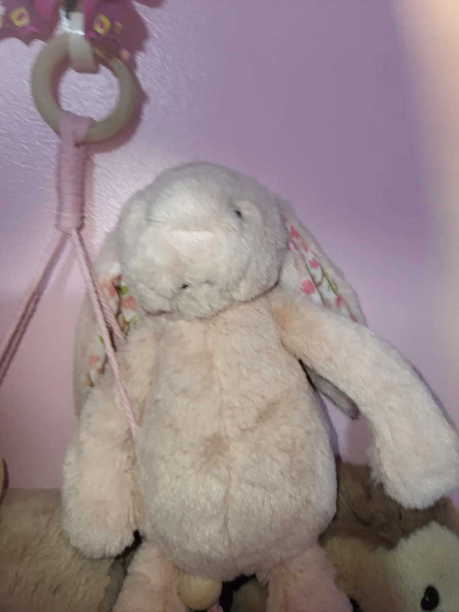 Front - Blossom Cherry Bunny - Medium photo by BiscuitandMinnie