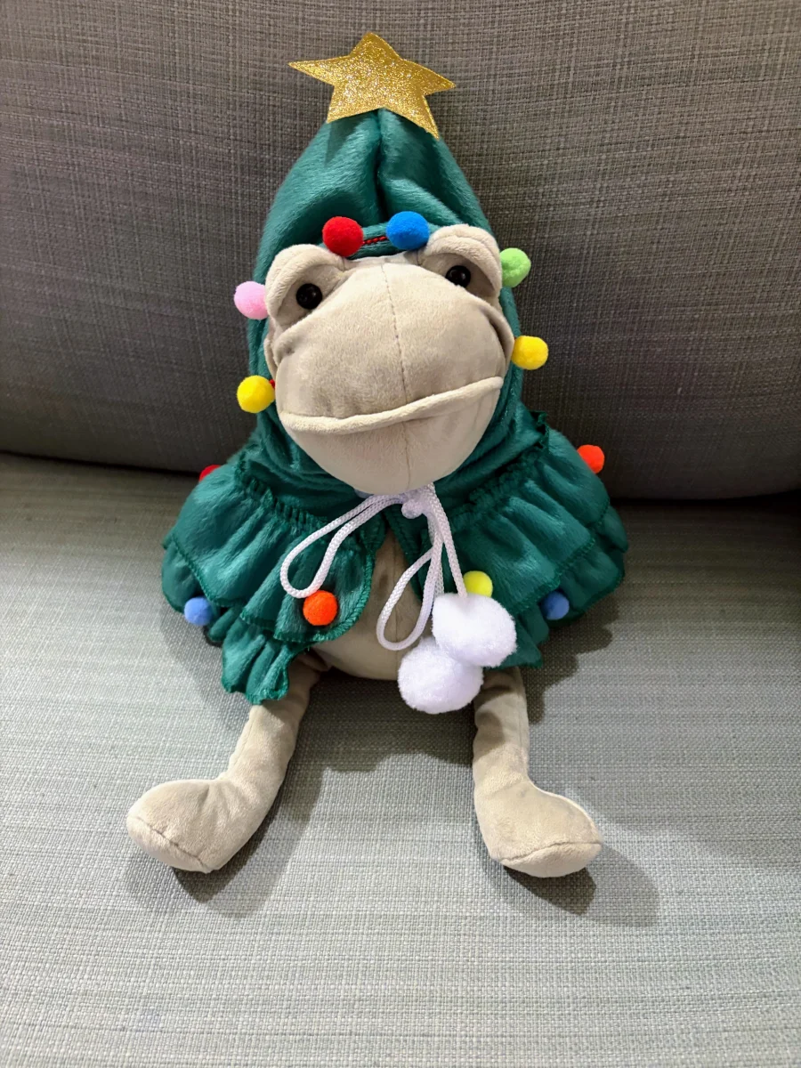 Lifestyle - Fergus Frog - Medium photo by JellytimeLaMay
