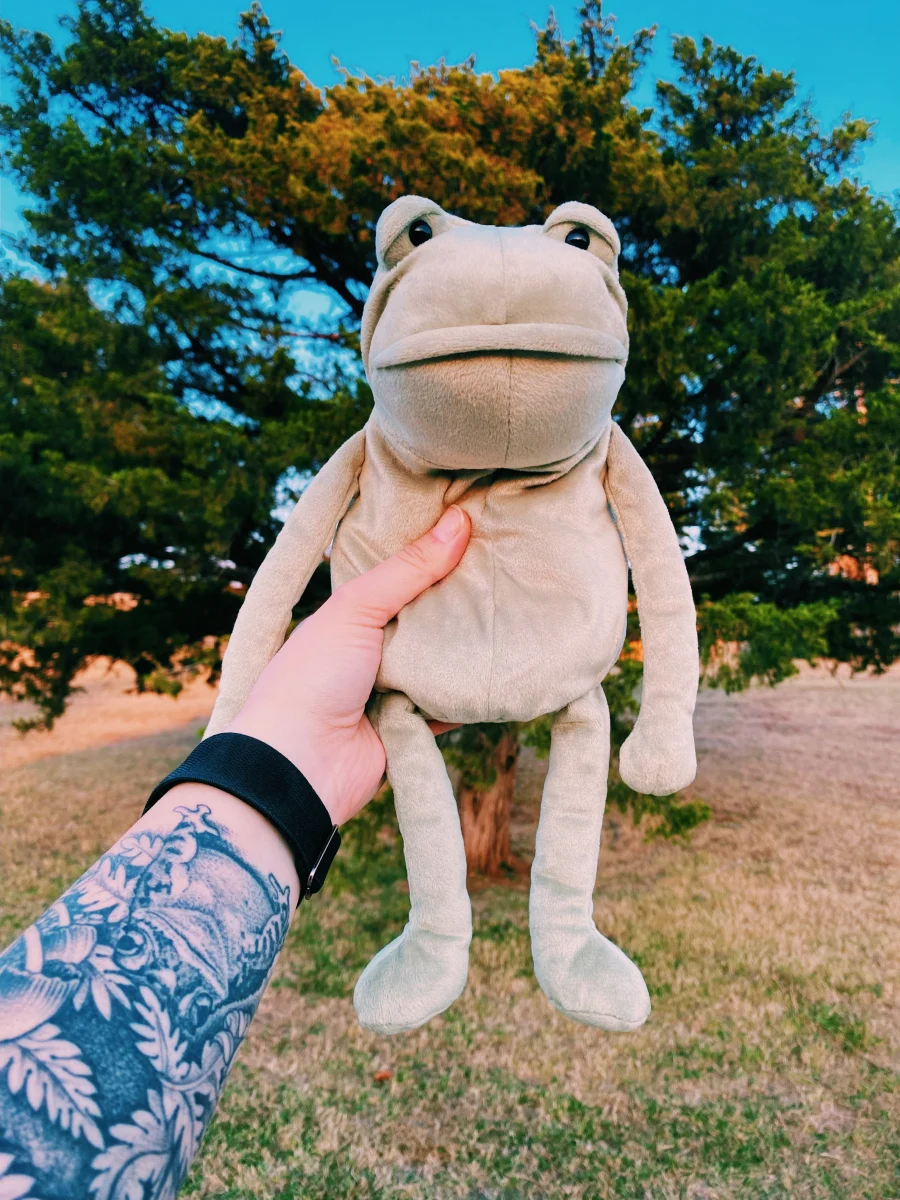 Front - Fergus Frog - Medium photo by mrkidsister