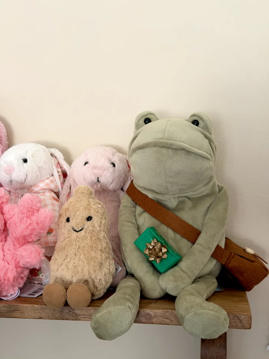 Lifestyle - Fergus Frog - Medium photo by jellycatangel