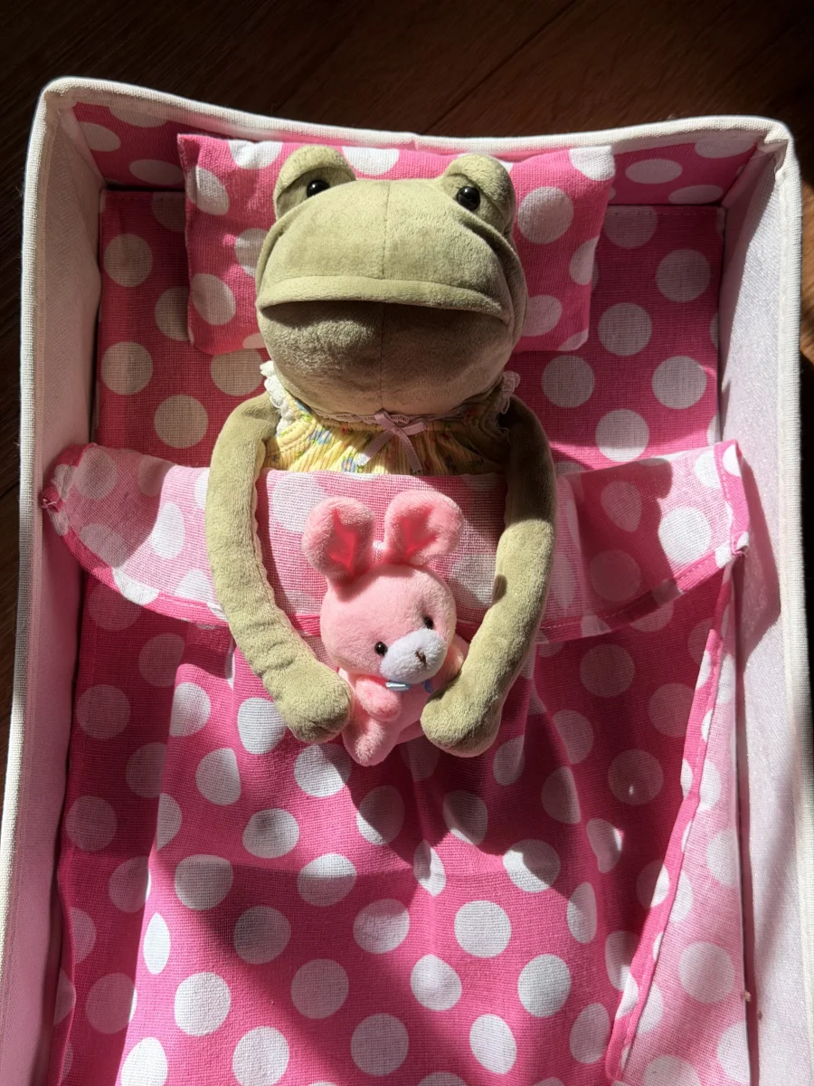 Front - Fergus Frog - Medium photo by jellycatangel