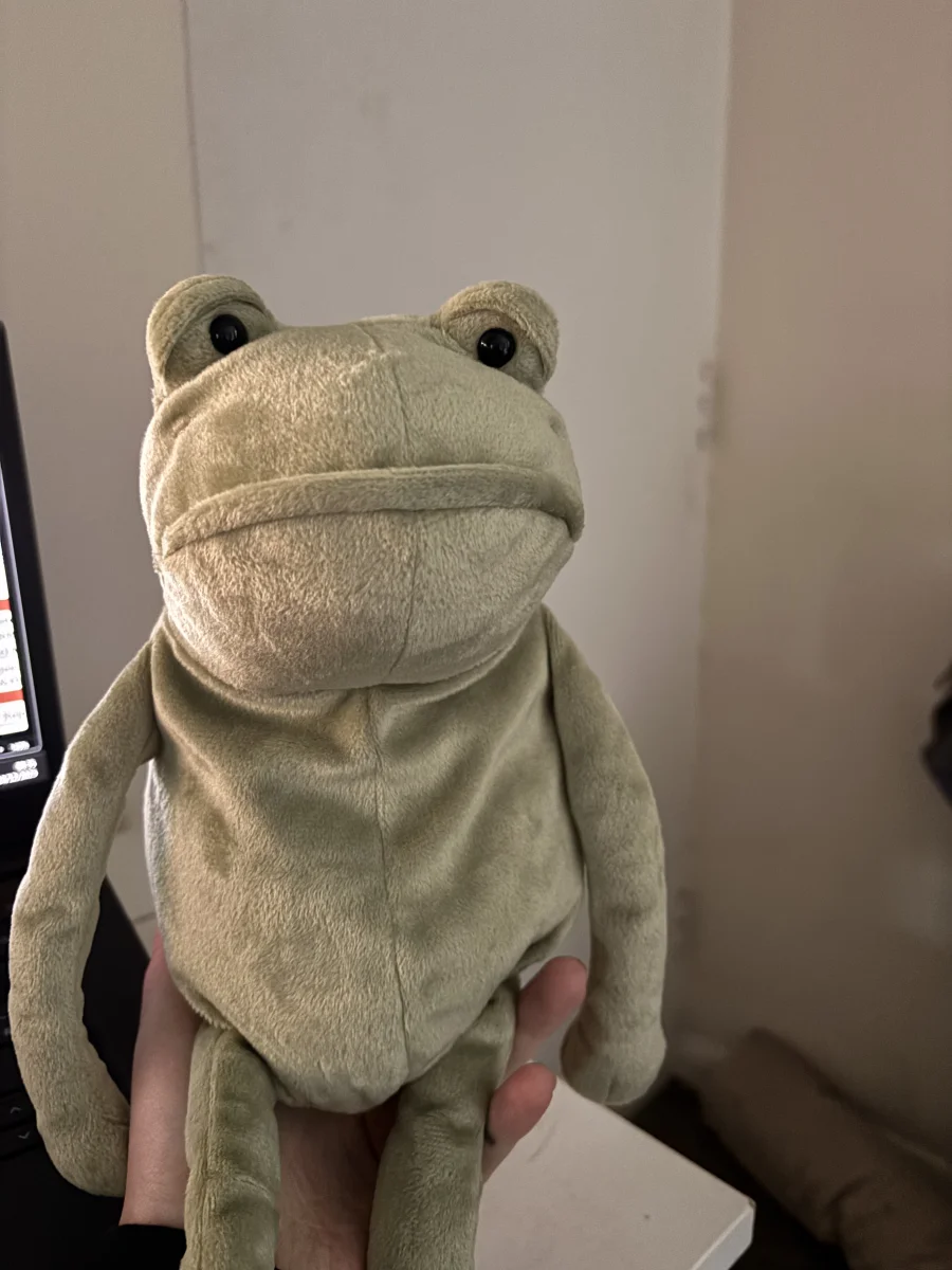 Front - Fergus Frog - Medium photo by Cazxo