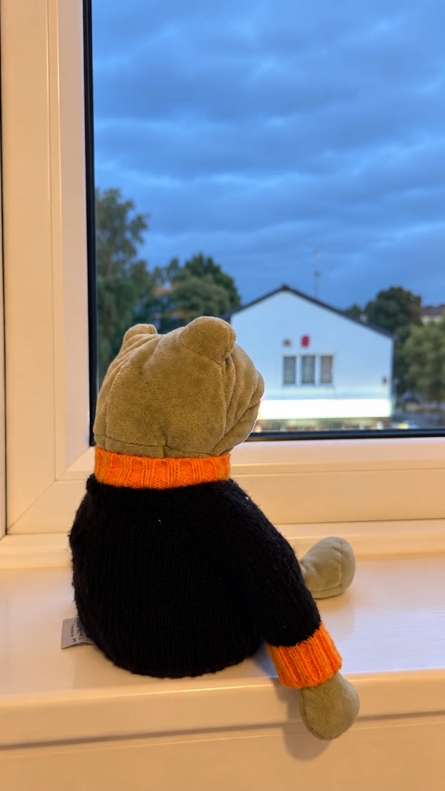 Lifestyle - Fergus Frog - Medium photo by Melsjellyworld