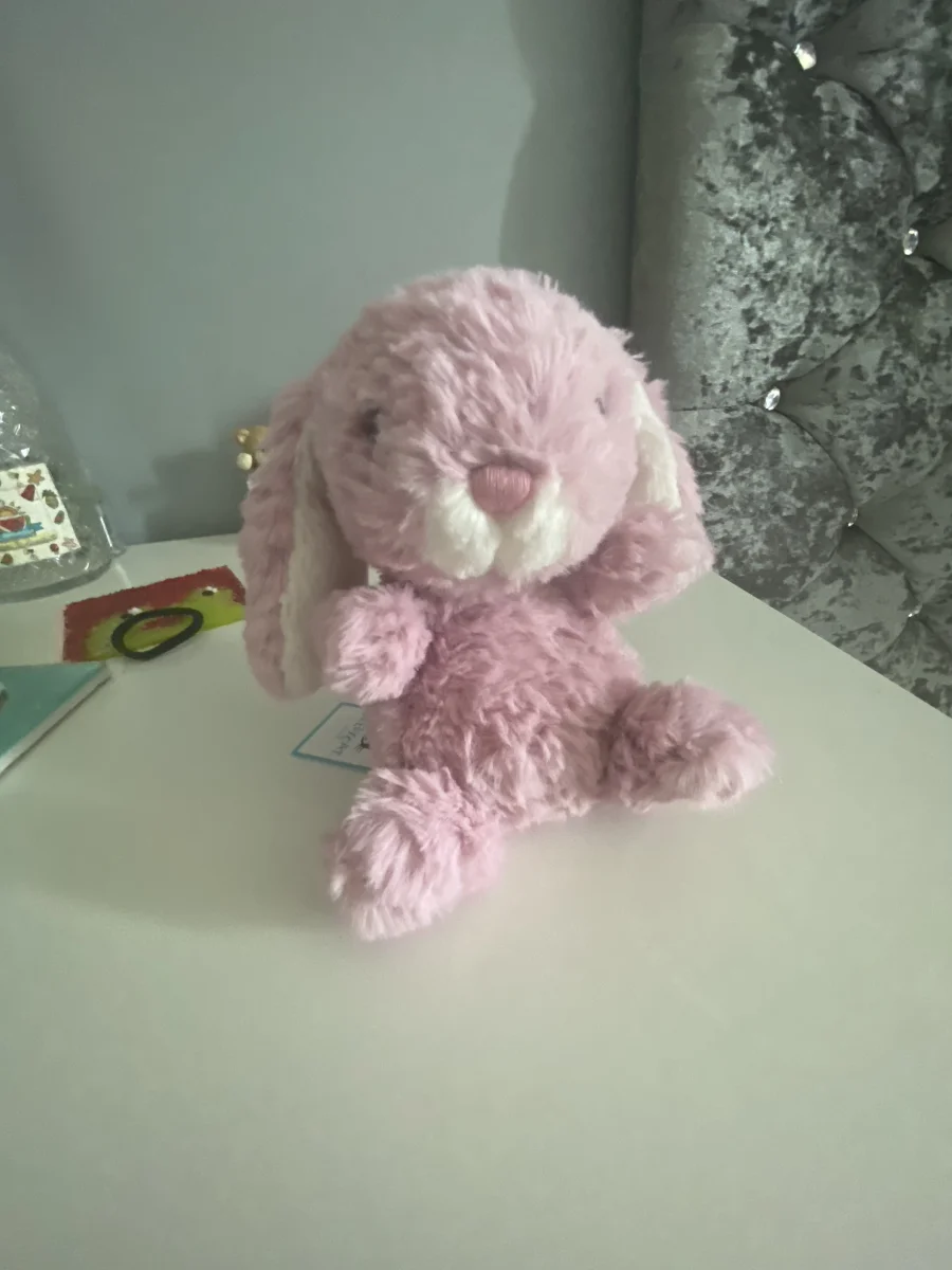 Front - Yummy Bunny - Pink photo by Frankieeeee