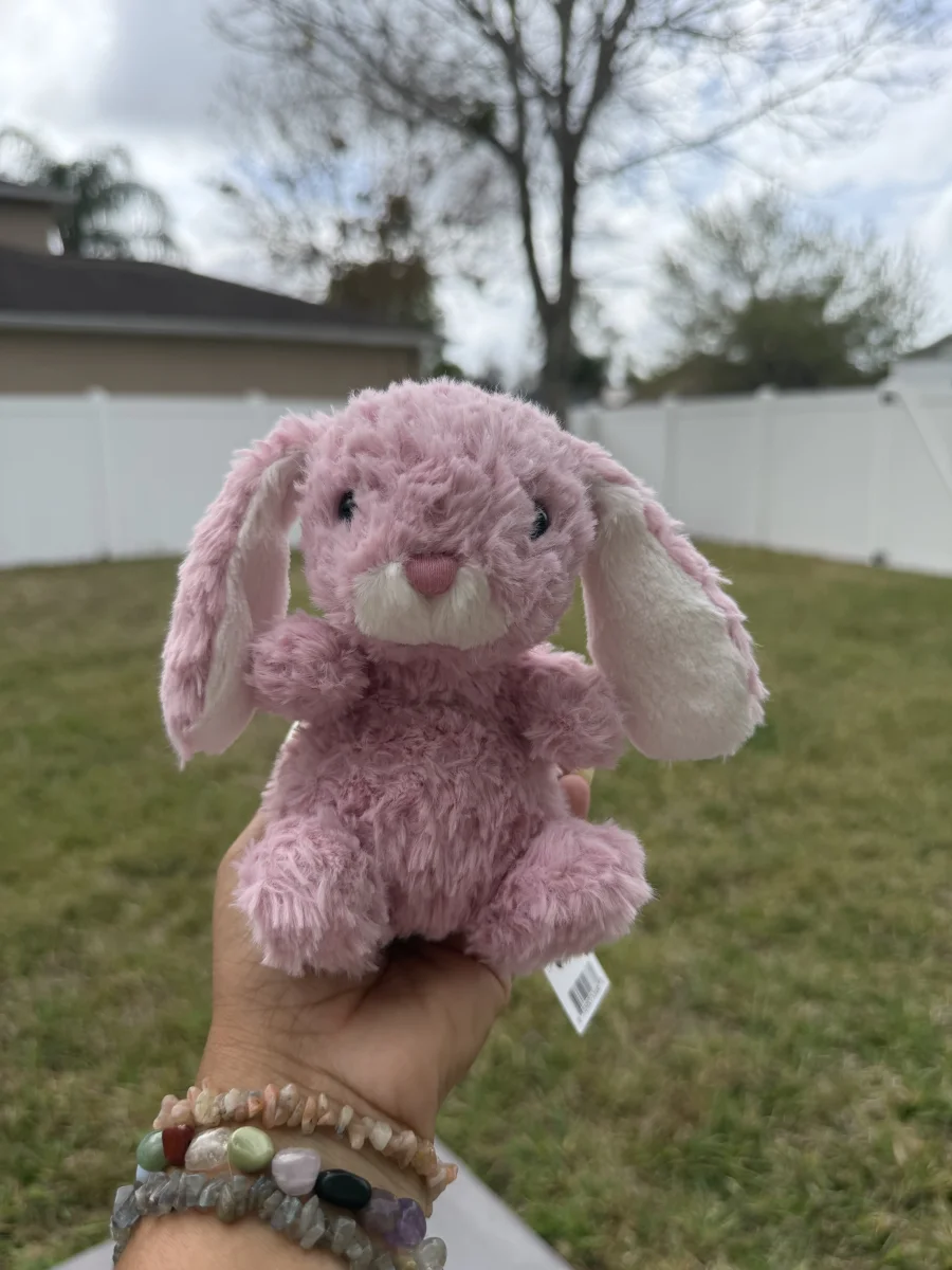 Front - Yummy Bunny - Pink photo by bronzieandthejellies
