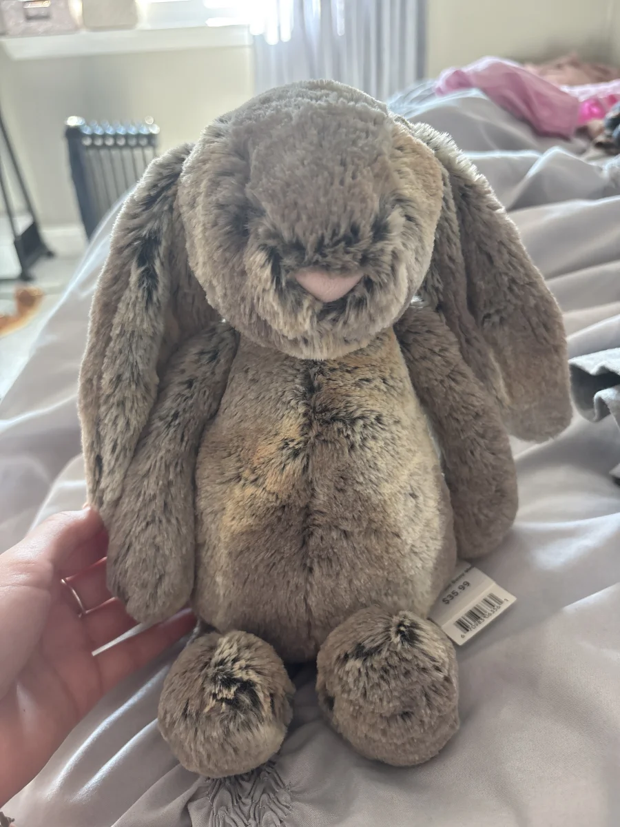 Front - Bashful Woodland Bunny - Large photo by trulyavaa2609