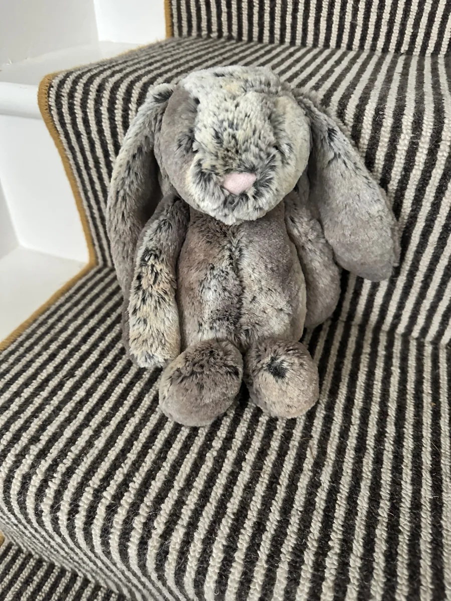 Front - Bashful Woodland Bunny - Large photo by Carter17