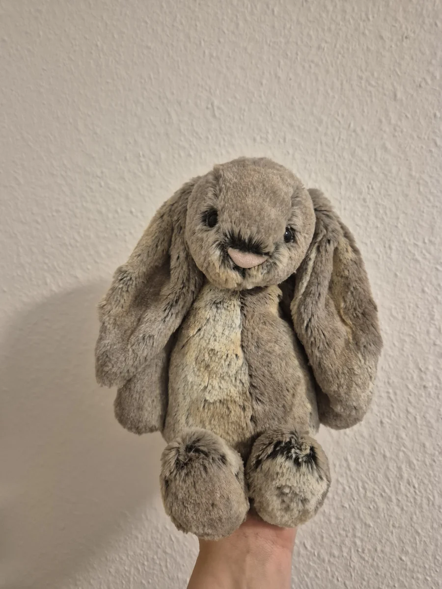Front - Bashful Woodland Bunny - Large photo by Helena