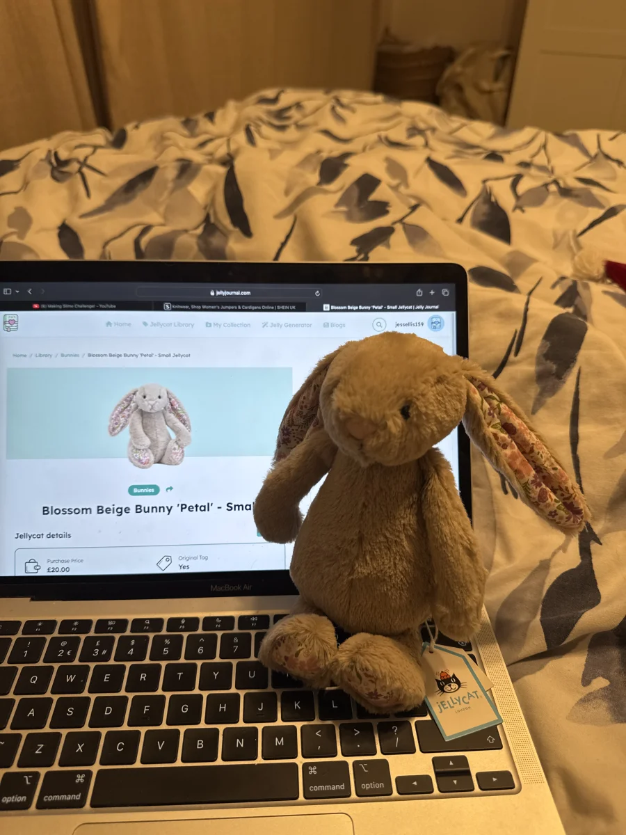 Front - Blossom Beige Bunny 'Petal' - Small photo by jessellis159