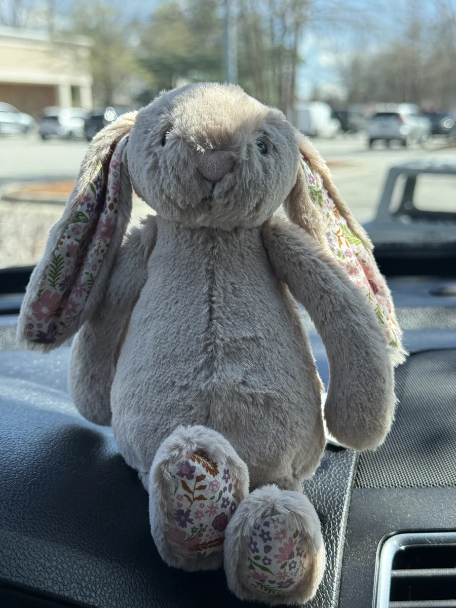 Front - Blossom Beige Bunny 'Petal' - Small photo by shelbsjellies