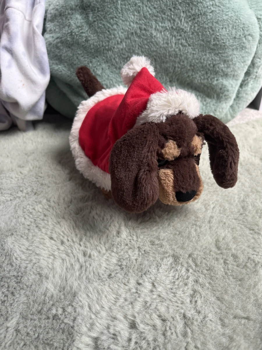 Side - Winter Warmer Otto Sausage Dog photo by Lucia_123
