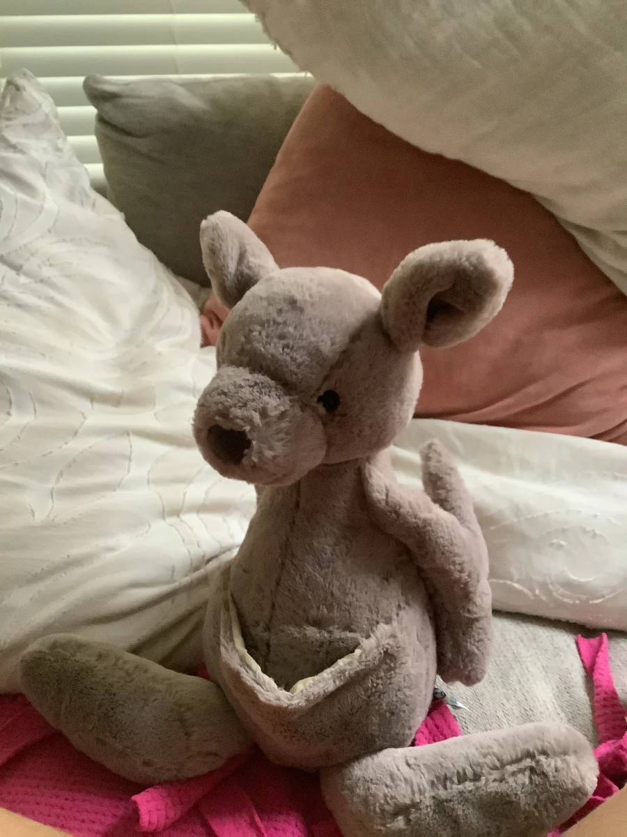 Front - Kara Kangaroo - Large photo by Jellyfan456