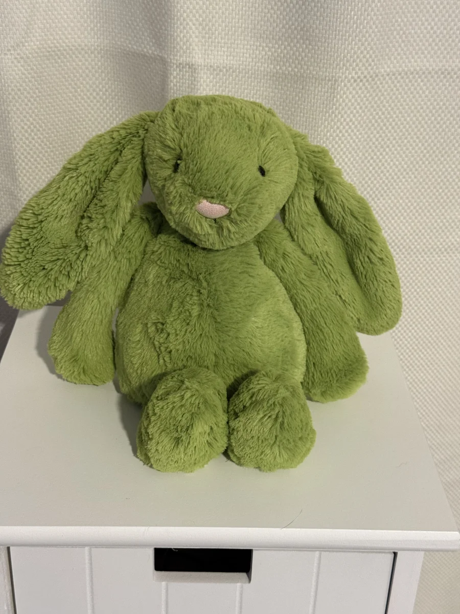 Front - Bashful Apple Bunny - Medium photo by Bunnylove