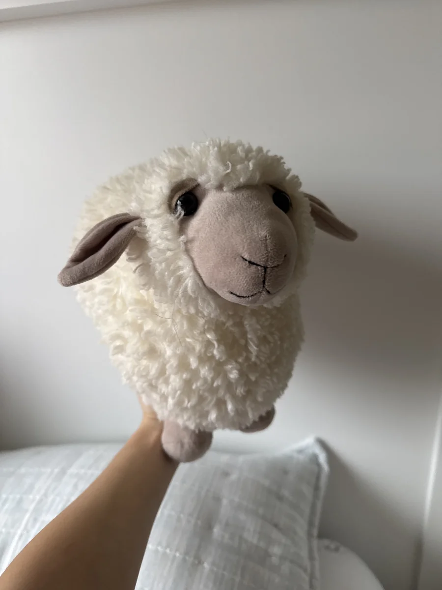Front - Rolbie Sheep Cream - Medium photo by Vas_JellyWelly