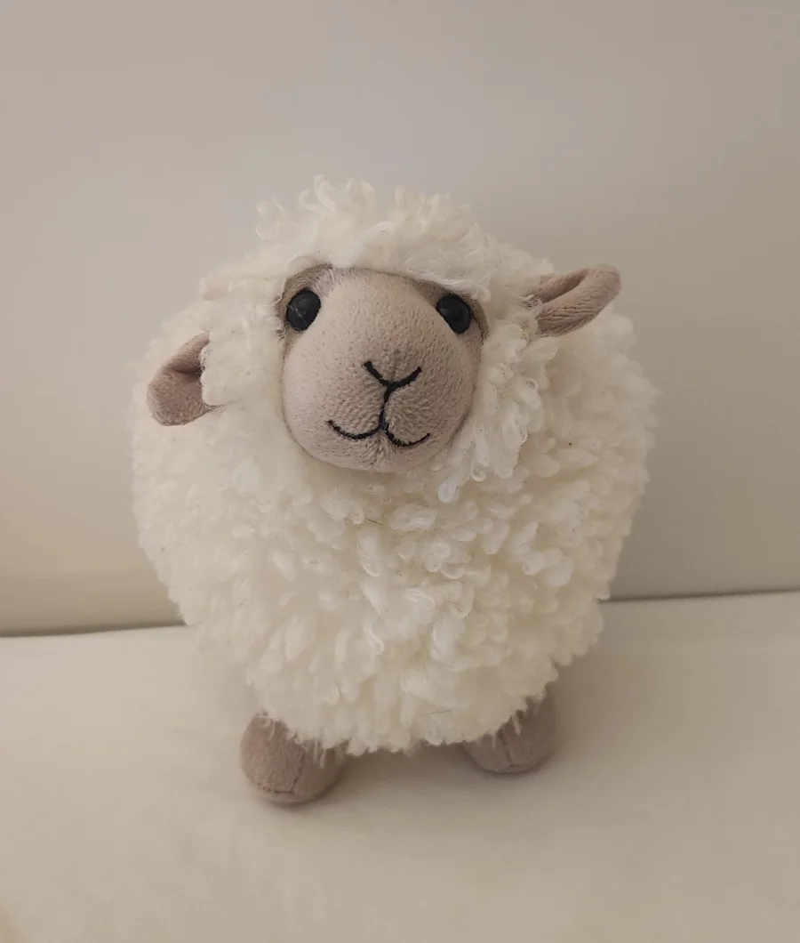 Front - Rolbie Sheep Cream - Small photo by PurpleShan