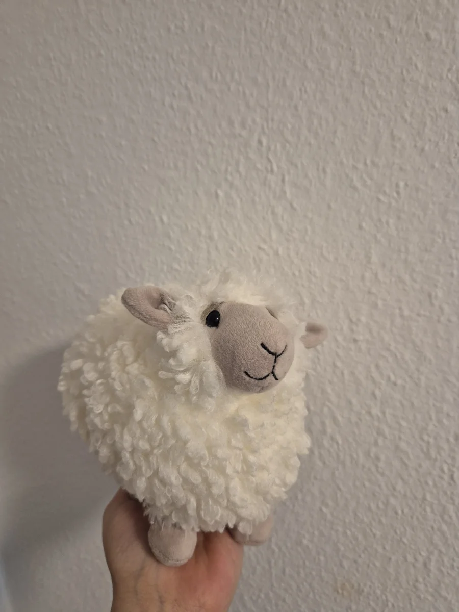 Front - Rolbie Sheep Cream - Small photo by Helena