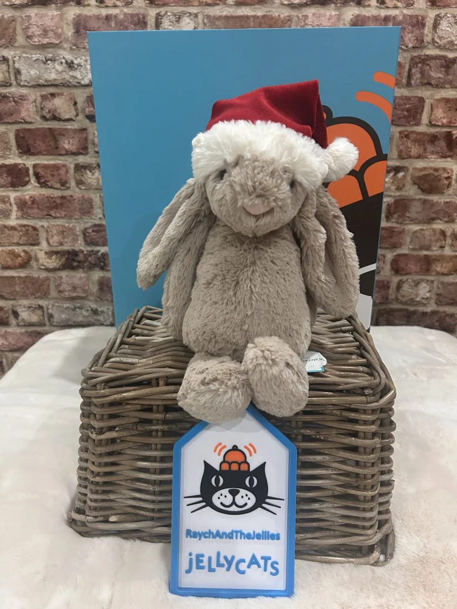 Front - Bashful Christmas Bunny photo by Raychandthejellies