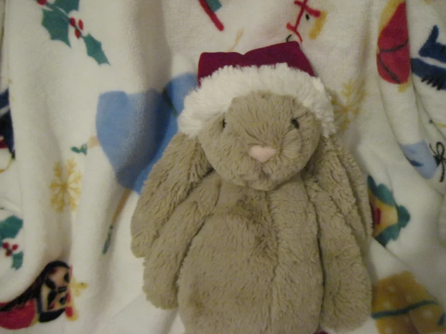 Front - Bashful Christmas Bunny photo by swimminginparis