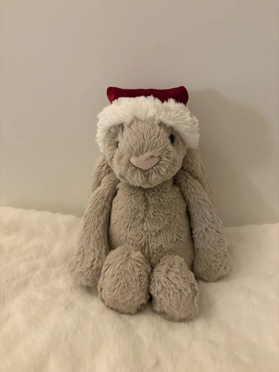 Front - Bashful Christmas Bunny photo by Fnublo95