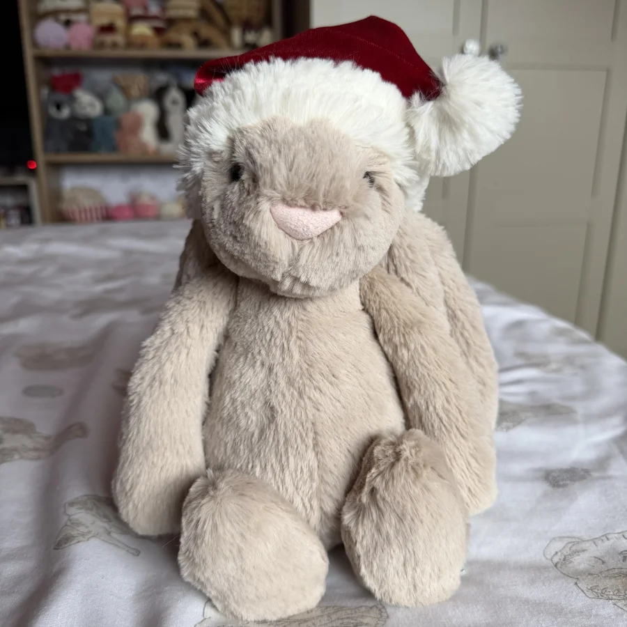 Front - Bashful Christmas Bunny photo by Rach01