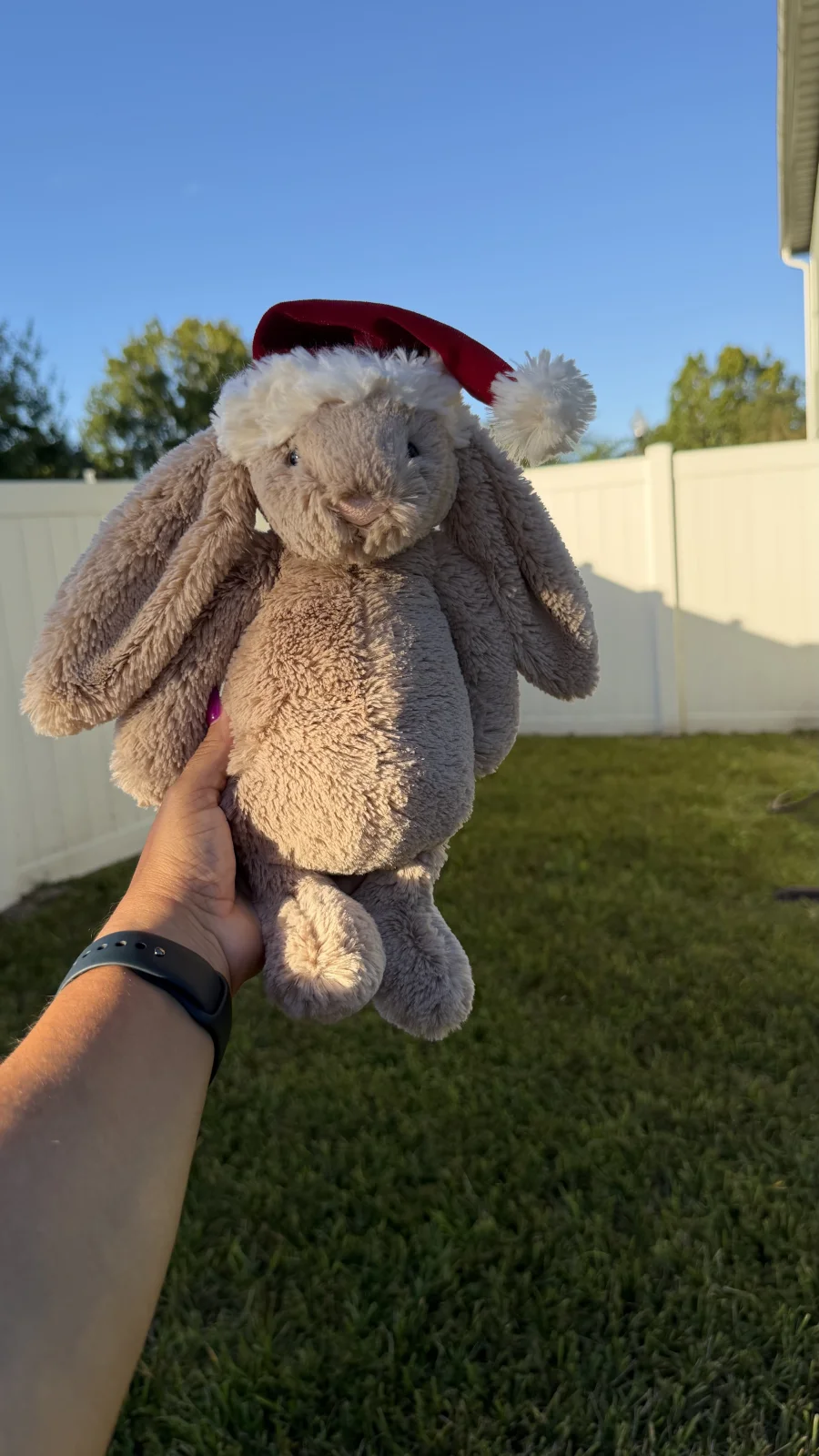 Front - Bashful Christmas Bunny photo by bronzieandthejellies