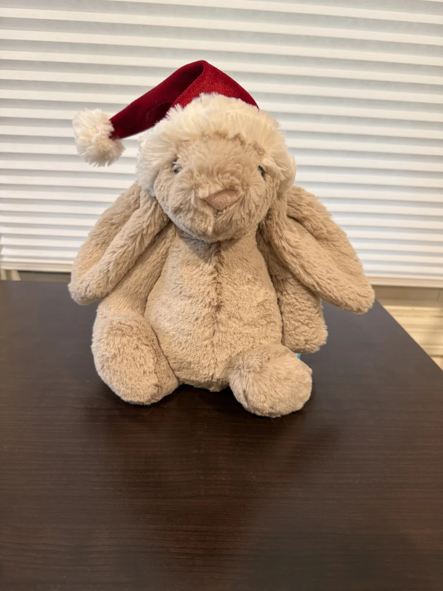 Front - Bashful Christmas Bunny photo by Bunnylove