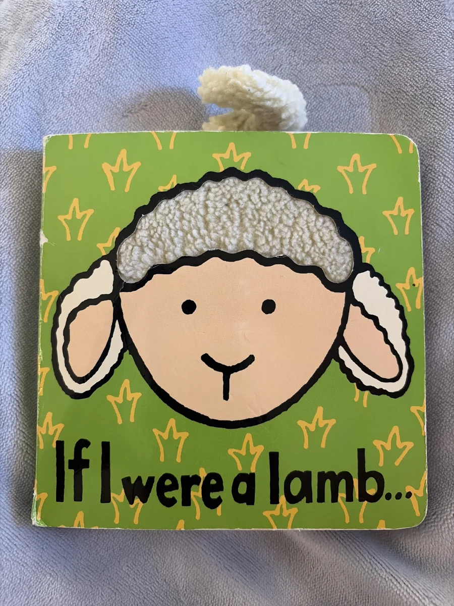 Front - If I Were A Lamb Board Book photo by Hifriends