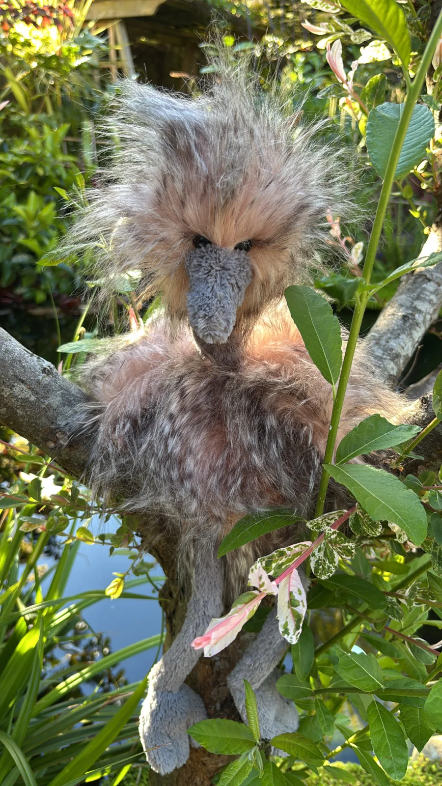 Front - Odette Ostrich photo by Jelly_Journey